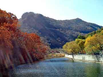 大三巴一肖二码最准，校花当道